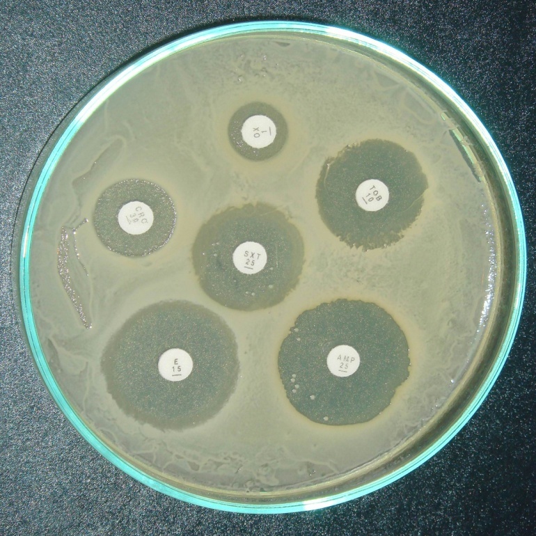 MUELLER-HINTON Agar-105437.0500